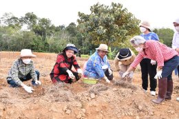 การไฟฟ้าฝ่ายผลิตแห่งประเทศไทย