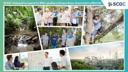 เอสซีจี เคมิคอลส์ จำกัด (มหาชน)