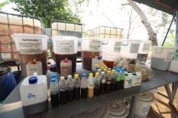 การไฟฟ้าฝ่ายผลิตแห่งประเทศไทย