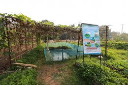 การไฟฟ้าฝ่ายผลิตแห่งประเทศไทย