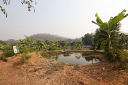 การไฟฟ้าฝ่ายผลิตแห่งประเทศไทย