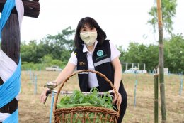 บางจาก คอร์ปอเรชั่น จำกัด (มหาชน)