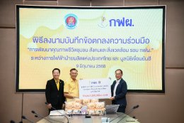 การไฟฟ้าฝ่ายผลิตแห่งประเทศไทย