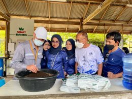 ผลิตไฟฟ้า จำกัด (มหาชน)