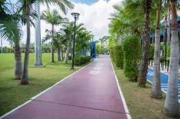 เอสซีจี เคมิคอลส์ จำกัด (มหาชน)