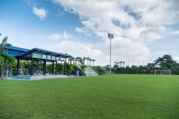 เอสซีจี เคมิคอลส์ จำกัด (มหาชน)