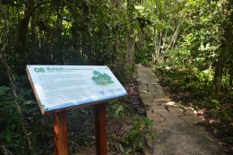 ผลิตไฟฟ้า จำกัด (มหาชน)