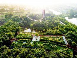 ปตท. จำกัด (มหาชน)