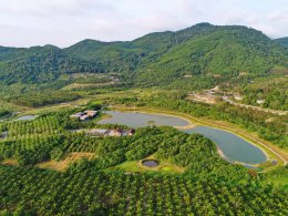 ปตท. จำกัด (มหาชน)