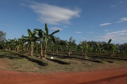 ปตท. จำกัด (มหาชน)