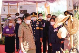 ปตท. จำกัด (มหาชน)