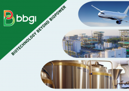 บีบีจีไอ จำกัด (มหาชน)