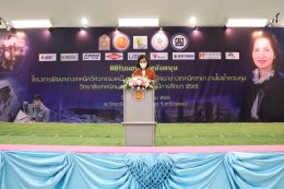 บีแอลซีพี เพาเวอร์ จำกัด