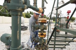 บริษัท บ้านปู จำกัด (มหาชน)