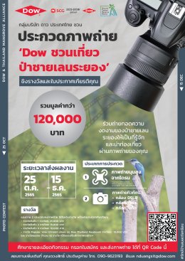 ดาว ประเทศไทย
