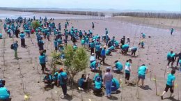 ดาว ประเทศไทย