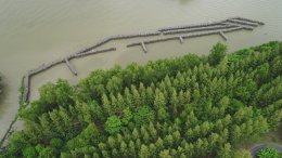 ปตท. จำกัด (มหาชน)