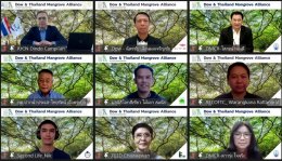 ดาว ประเทศไทย