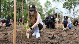 โกลบอลกรีนเคมิคอล จำกัด (มหาชน)