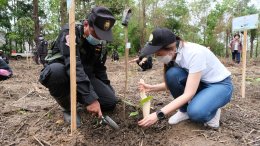 โกลบอลกรีนเคมิคอล จำกัด (มหาชน)