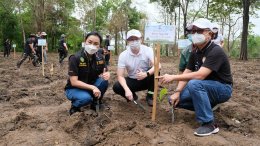 โกลบอลกรีนเคมิคอล จำกัด (มหาชน)