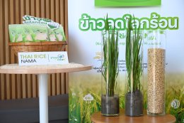 บางจาก คอร์ปอเรชั่น จำกัด (มหาชน)