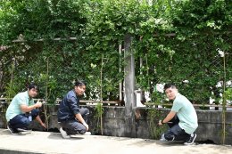 บางจาก คอร์ปอเรชั่น จำกัด (มหาชน)