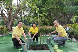 บางจาก คอร์ปอเรชั่น จำกัด (มหาชน)