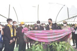 การไฟฟ้าฝ่ายผลิตแห่งประเทศไทย