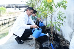 บางจาก คอร์ปอเรชั่น จำกัด (มหาชน)