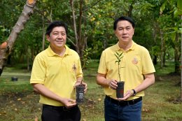 บางจาก คอร์ปอเรชั่น จำกัด (มหาชน)