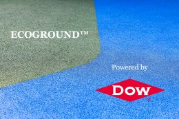 ดาว ประเทศไทย