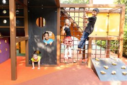 ดาว ประเทศไทย