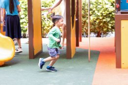 ดาว ประเทศไทย