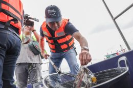 ปตท. น้ำมันและการค้าปลีก จำกัด (มหาชน)