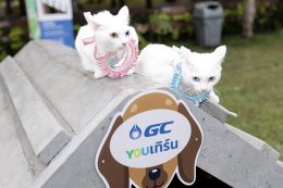 พีทีที โกลบอล เคมิคอล จำกัด (มหาชน)