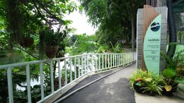 พีทีที โกลบอล เคมิคอล จำกัด (มหาชน)