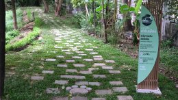 พีทีที โกลบอล เคมิคอล จำกัด (มหาชน)