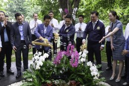 พีทีที โกลบอล เคมิคอล จำกัด (มหาชน)