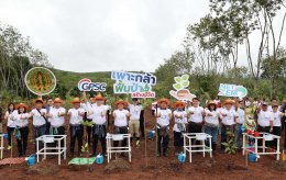 โกลบอล เพาเวอร์ ซินเนอร์ยี่ จำกัด (มหาชน)