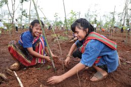 โกลบอล เพาเวอร์ ซินเนอร์ยี่ จำกัด (มหาชน)