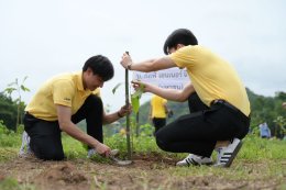 กัลฟ์ เอ็นเนอร์จี ดีเวลลอปเมนท์ จำกัด (มหาชน)