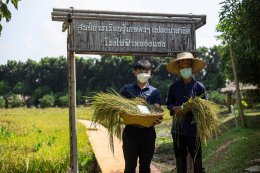 กัลฟ์ เอ็นเนอร์จี ดีเวลลอปเมนท์ จำกัด (มหาชน)