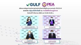 กัลฟ์ เอ็นเนอร์จี ดีเวลลอปเมนท์ จำกัด (มหาชน)