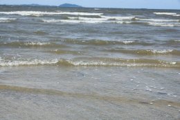 ไทยออยล์ จำกัด (มหาชน)