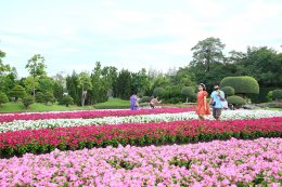 การไฟฟ้าฝ่ายผลิตแห่งประเทศไทย