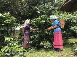 ปตท. จำกัด (มหาชน) , ปตท. น้ำมันและการค้าปลีก จำกัด (มหาชน)