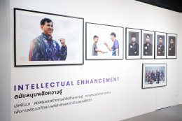 บ้านปู จำกัด (มหาชน)