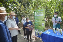 ไออาร์พีซี จำกัด (มหาชน)