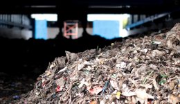 พีทีที โกลบอล เคมิคอล (จำกัด)